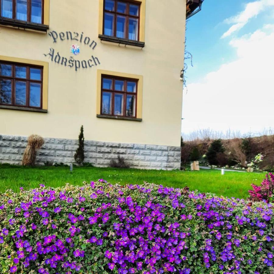 Penzion Adrspach U Bary Экстерьер фото